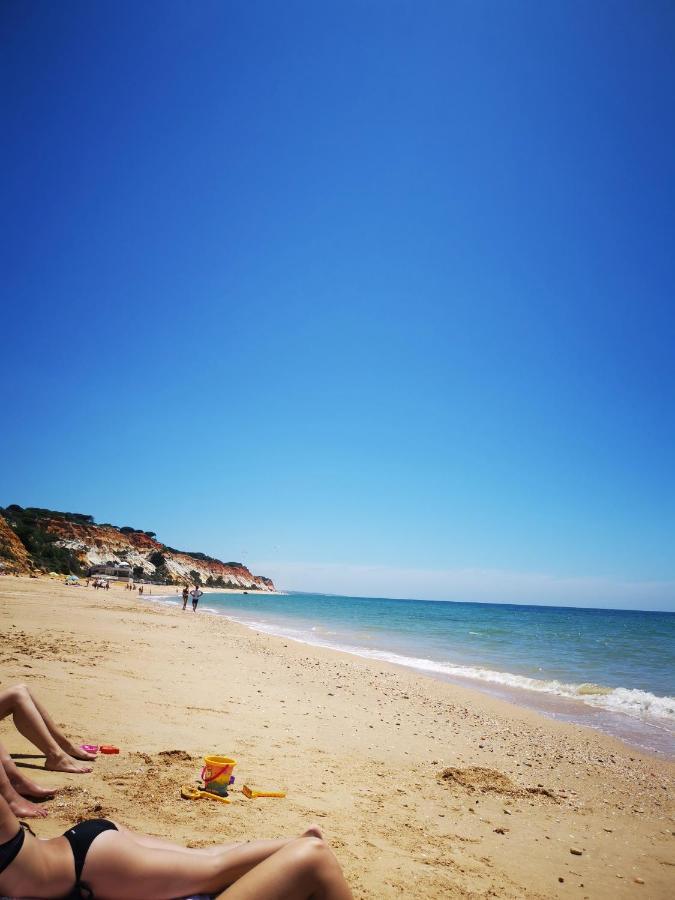 Mira Parque Bed and Breakfast Albufeira Exteriör bild