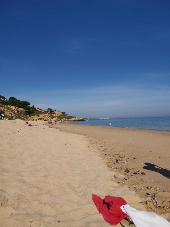 Mira Parque Bed and Breakfast Albufeira Exteriör bild